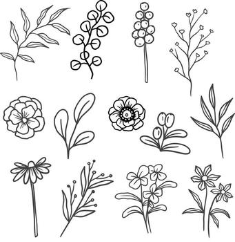 a set of hand drawn isolated plants vector
