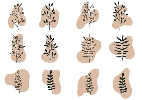 Boho Plant Art And Abstract Shape vector
