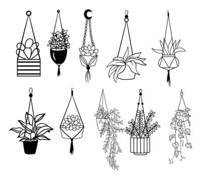 Hand drawn hanging house plants. Black silhouettes of different plants in pots. Vector illustration isolated on white background