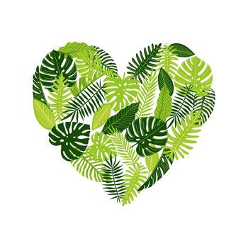 Vector  heart-shaped botanical illustration with monstera, palm and fern leaves. Tropical plants,  Go green design